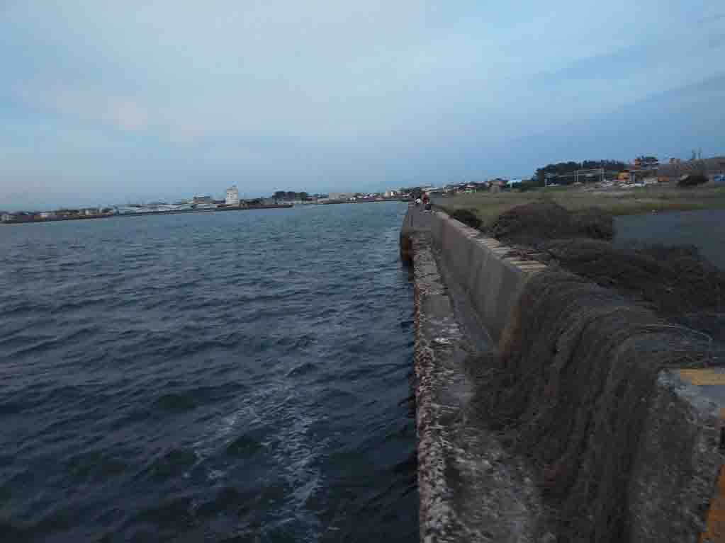 浜名湖釣り場情報 海釣り公園のサビキからチヌのポイントまで17選 バズーカnews 怖い話と都市伝説