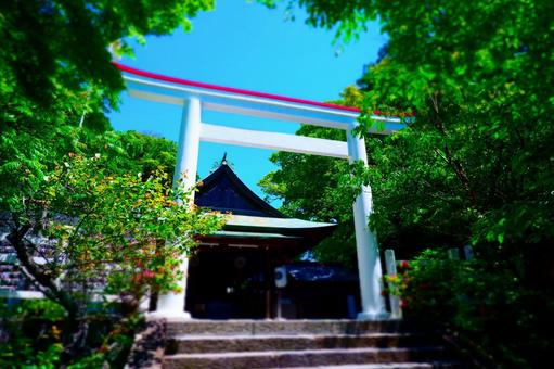 鎌倉心霊スポット 恐怖に顔がゆがむランキング1位を決めろ バズーカnews 怖い話と都市伝説